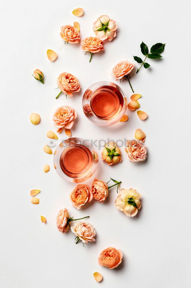 Similar – Image, Stock Photo Honey with fresh fruit tree blossoms