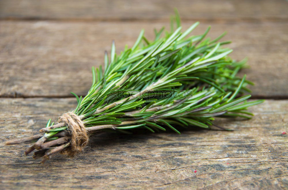 rosemary Food