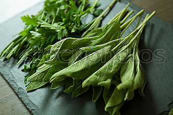 Similar – Image, Stock Photo Fresh sage leaves Food