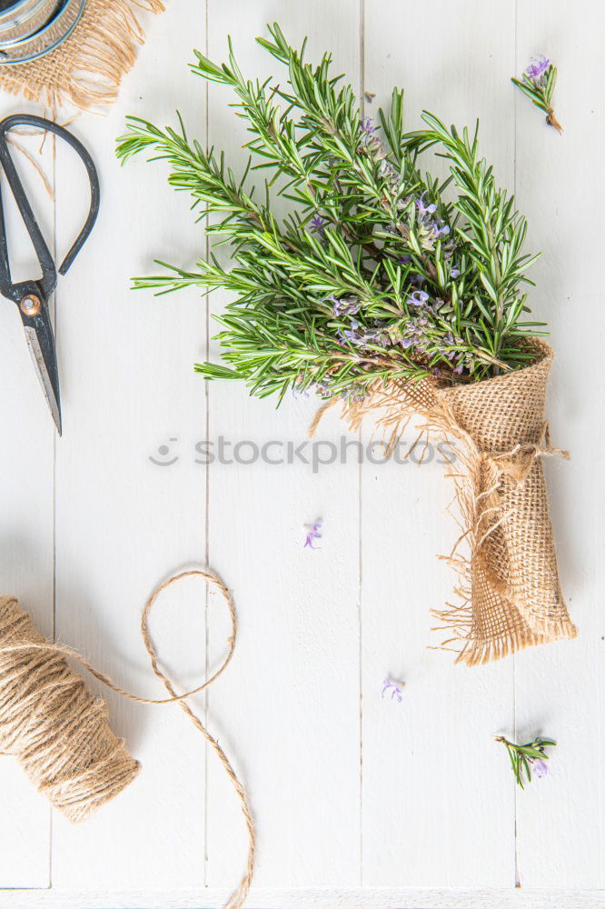 Similar – Image, Stock Photo rustic gardener set on white backround.
