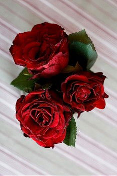 Similar – Image, Stock Photo Two red roses in white glass vases on a blurred wooden table.