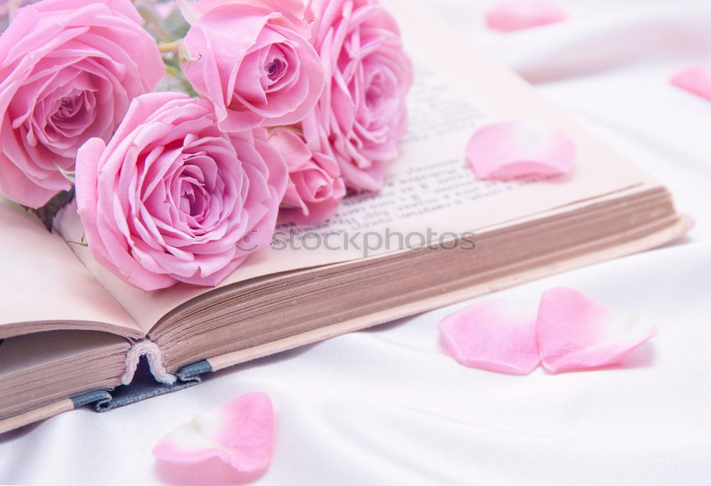 Similar – Aesthetic lifestyle. Notebook, white box with pink ribbon. Beige fabric background with cotton branches.  Top view.