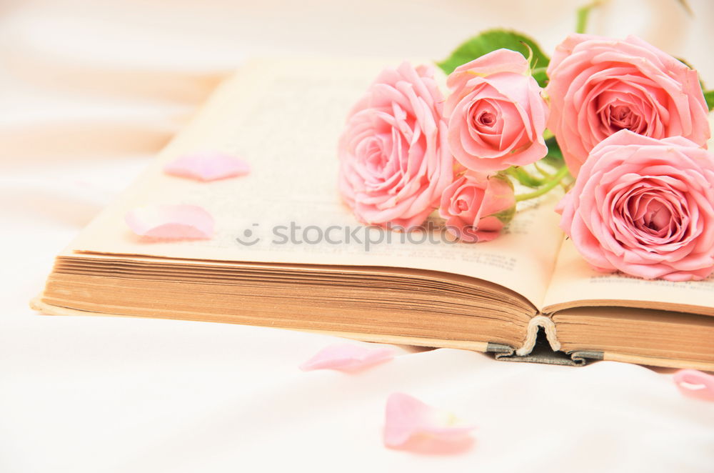 Similar – Aesthetic lifestyle. Notebook, white box with pink ribbon. Beige fabric background with cotton branches.  Top view.