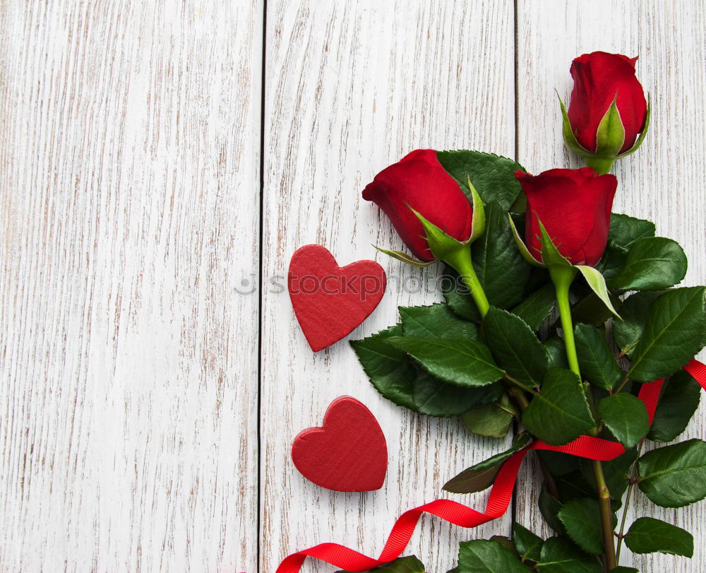 Similar – Image, Stock Photo young woman holding bouquet of red roses in her hands, valentines day, mother’s day, gift