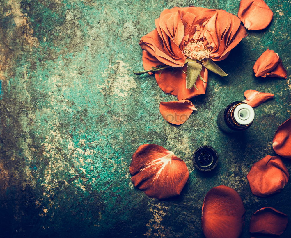 Similar – Image, Stock Photo Herbal tea with sage