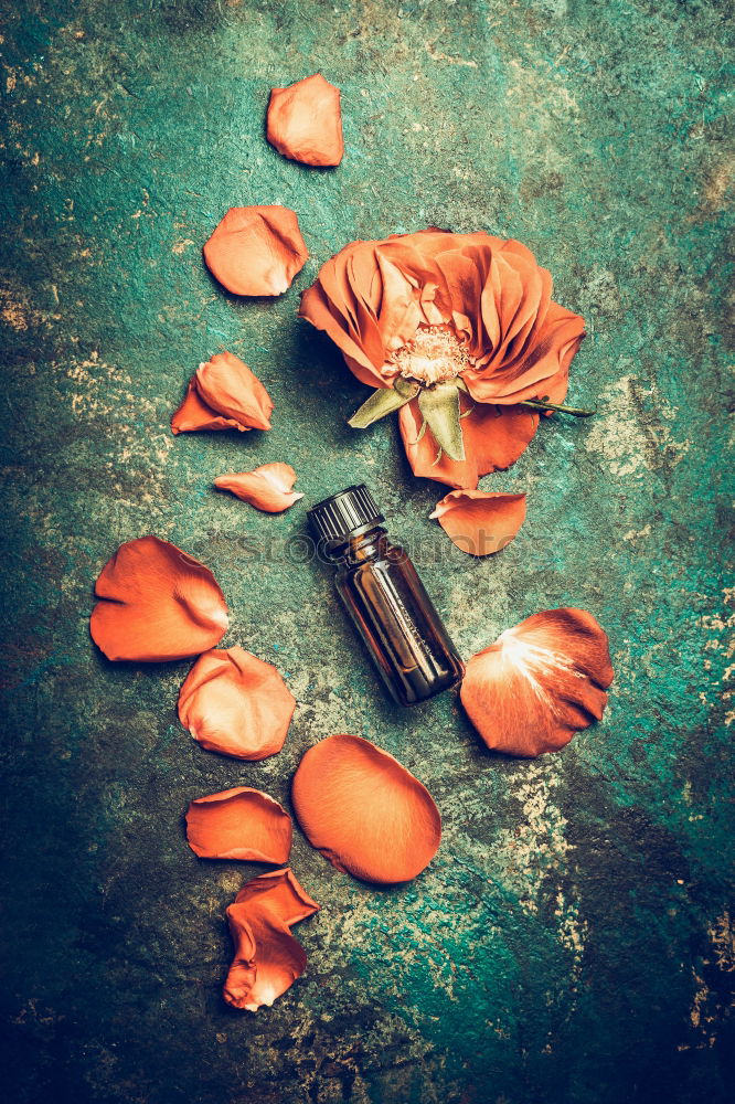 Image, Stock Photo Rose oil. Essential oil with rose petals