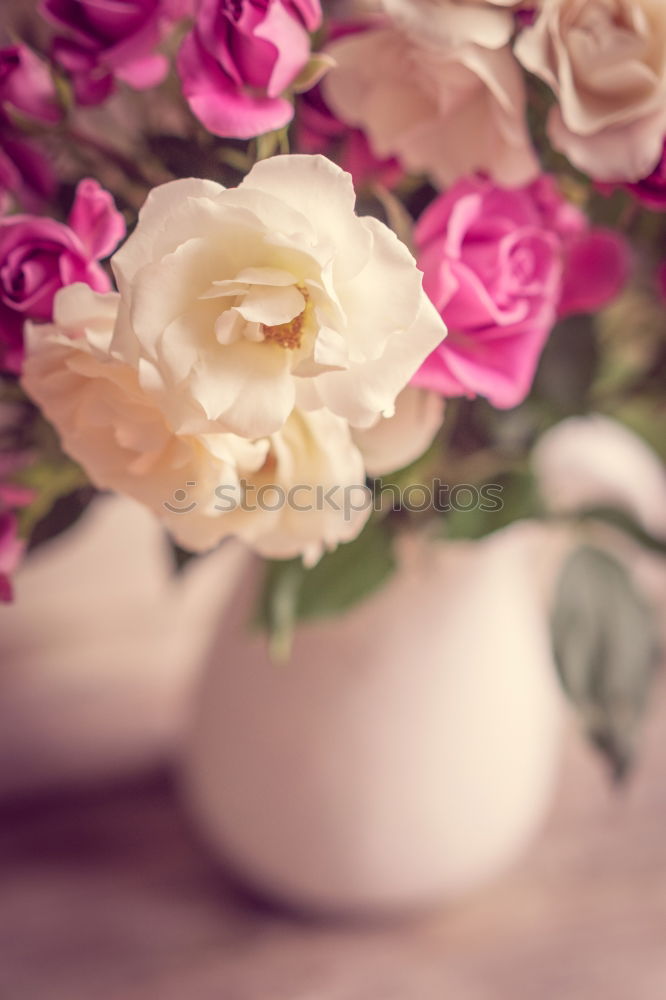 Similar – Image, Stock Photo Watering can with garden flowers