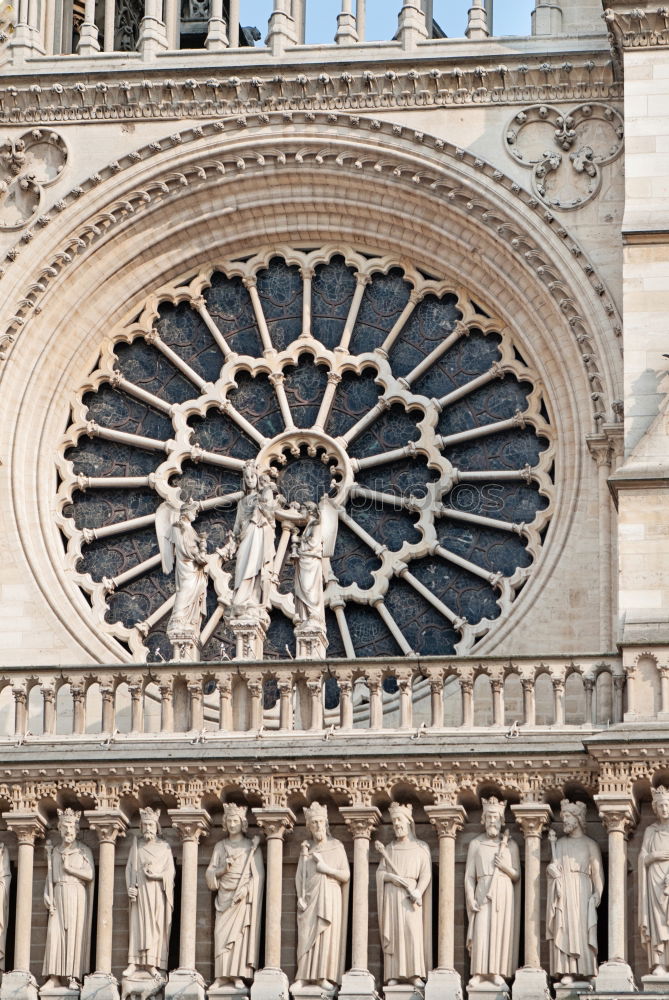 Similar – Image, Stock Photo Soap bubbles in front of Frauenkirche