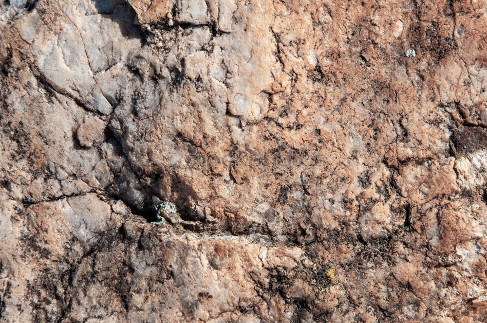 Similar – Image, Stock Photo lichen again Rock