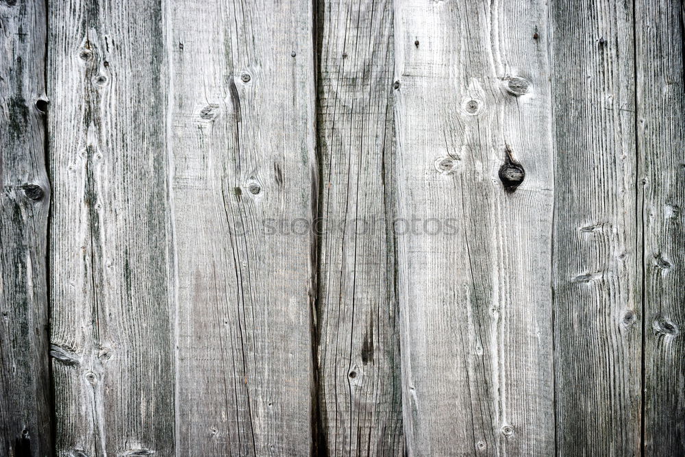 Similar – Image, Stock Photo come in… Door Old