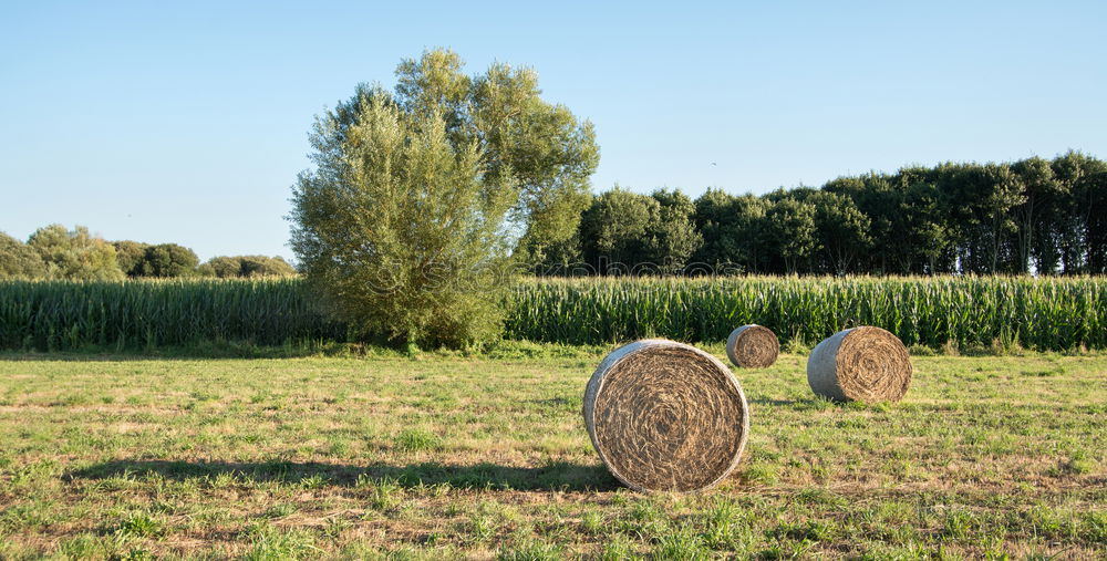 Similar – Foto Bild Kreisgrenze Umwelt Natur