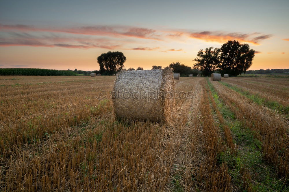 Similar – Image, Stock Photo back and forth