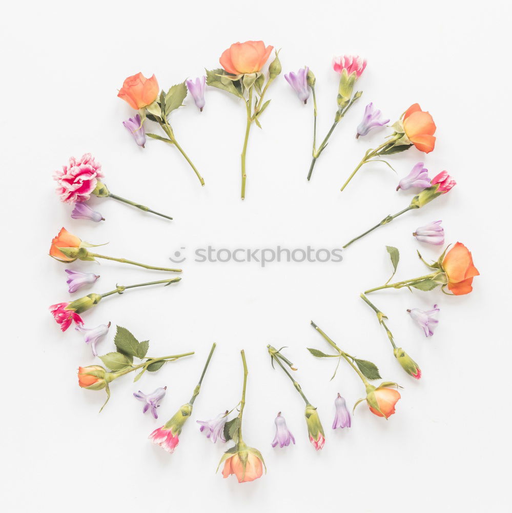 Similar – Image, Stock Photo Flower Decoration For Wedding Make