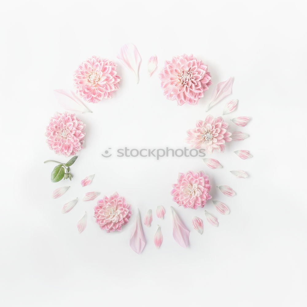 Pastel Pink Flowers Layout