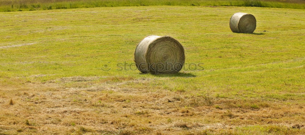 Similar – Image, Stock Photo undermining Meadow