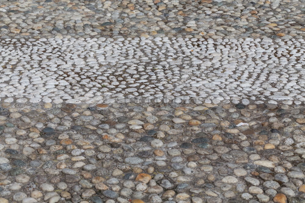 Similar – Dresden pavement Gully