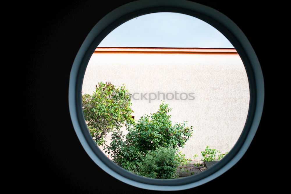 Similar – blaue Wand Baum Fenster