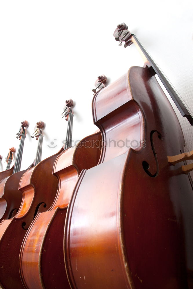 Similar – Image, Stock Photo Gegienbauer. Style Music