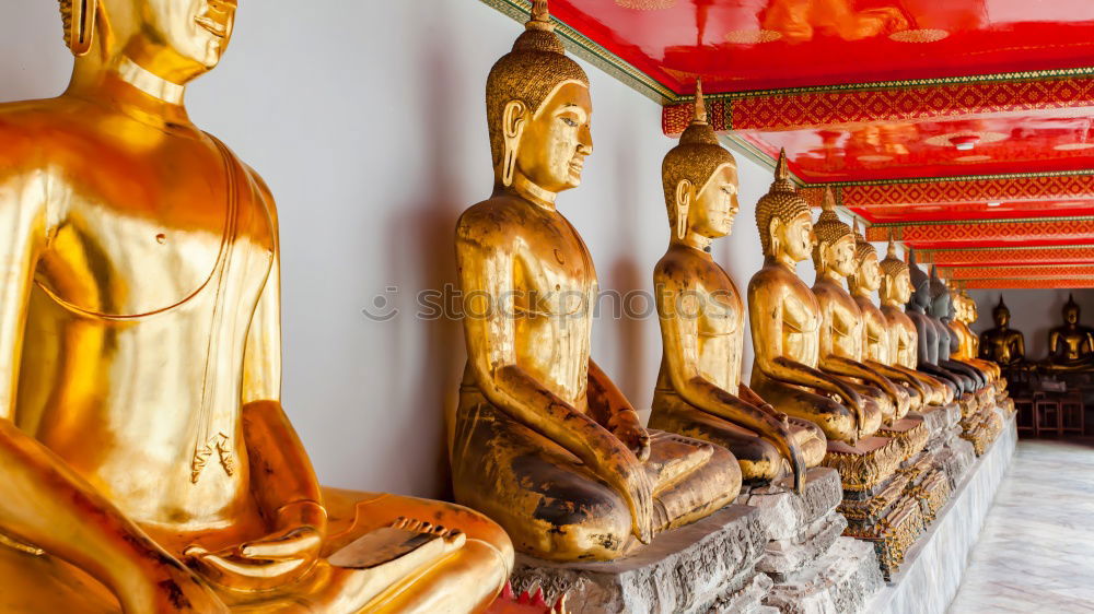 Similar – Image, Stock Photo golden statues in 1000 Buddhas Temple in Hong Kong.