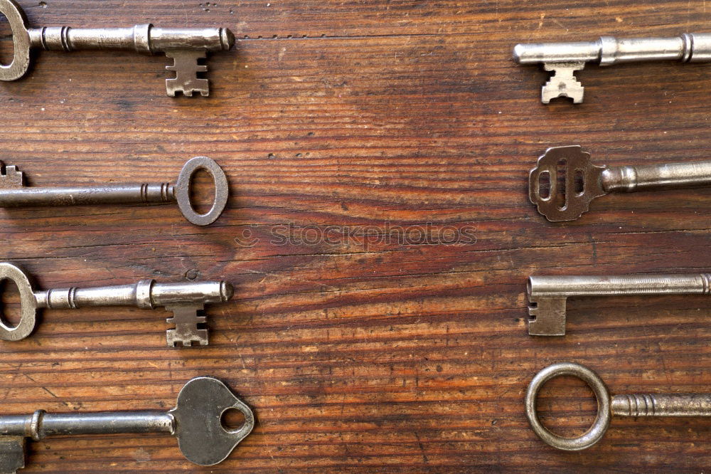 Similar – Image, Stock Photo Power of the keys: One fits! Many different keys are arranged around a door lock