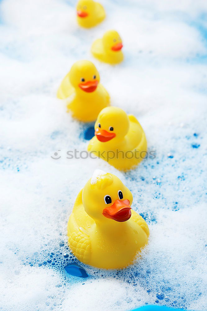 Similar – squeaky duck Bathtub Toys