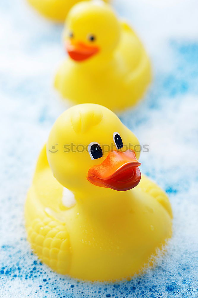 Similar – squeaky duck Bathtub Toys