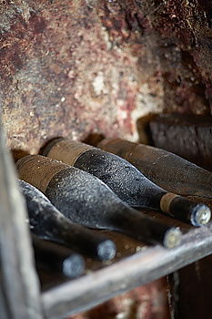 Similar – Image, Stock Photo Raw salmon fish on grill.