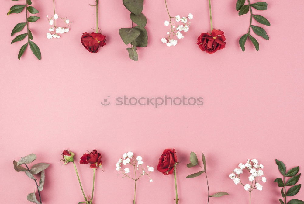 Similar – Image, Stock Photo Female hands make beautiful flower decorations