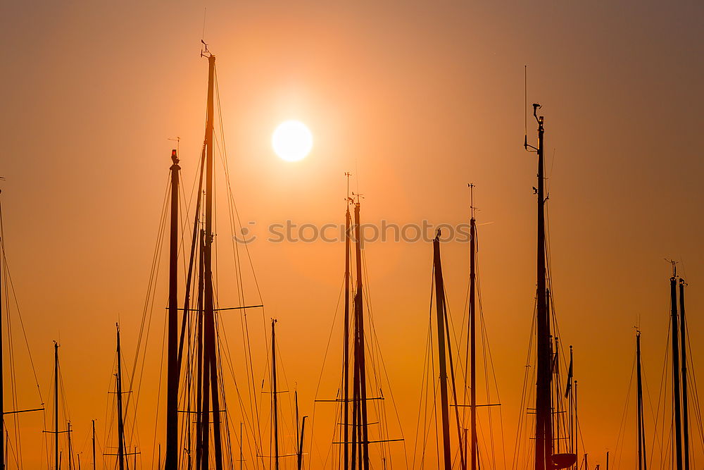 Sailing ships at the Hanse Sail