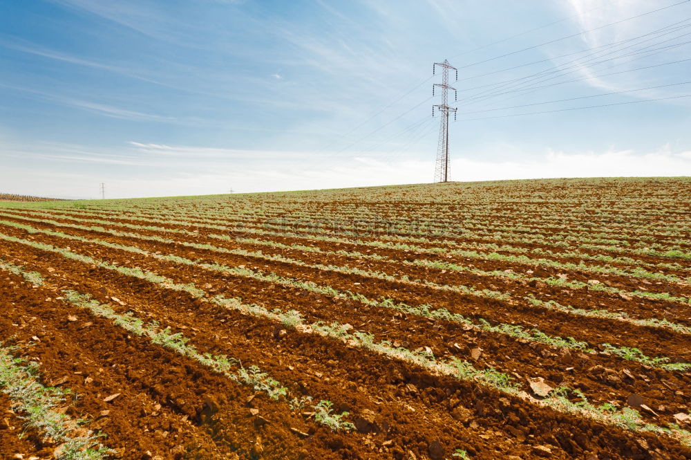 Similar – Image, Stock Photo cactus windmills in isle of