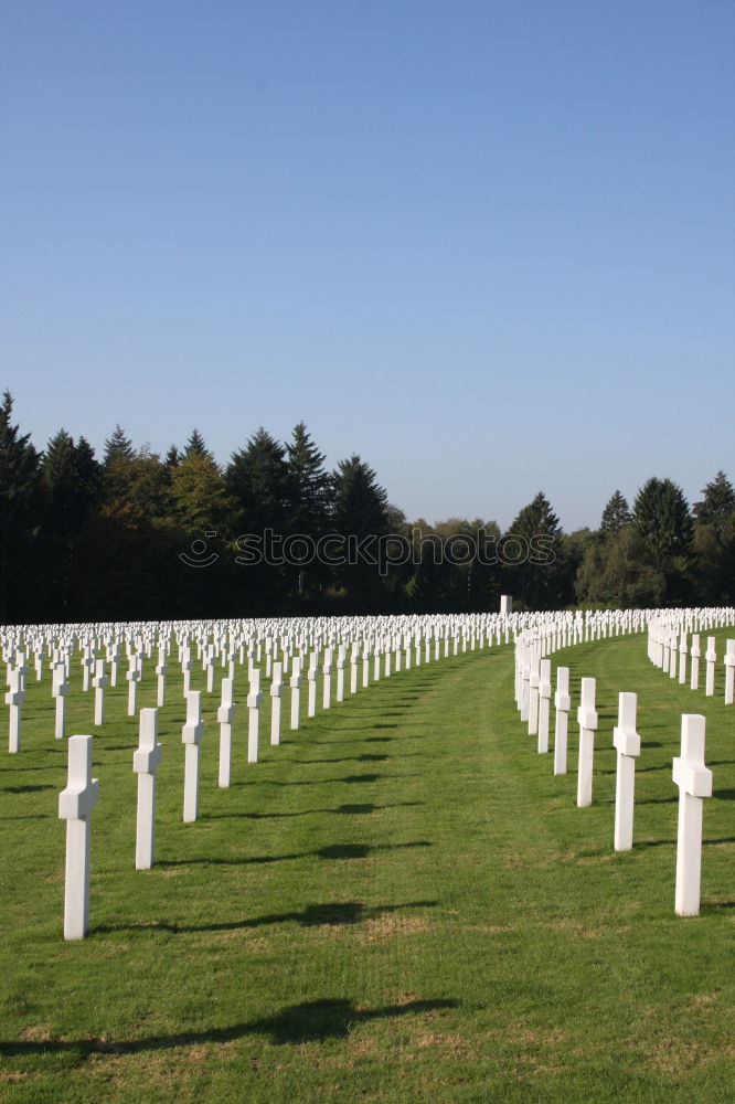 Similar – war graves France