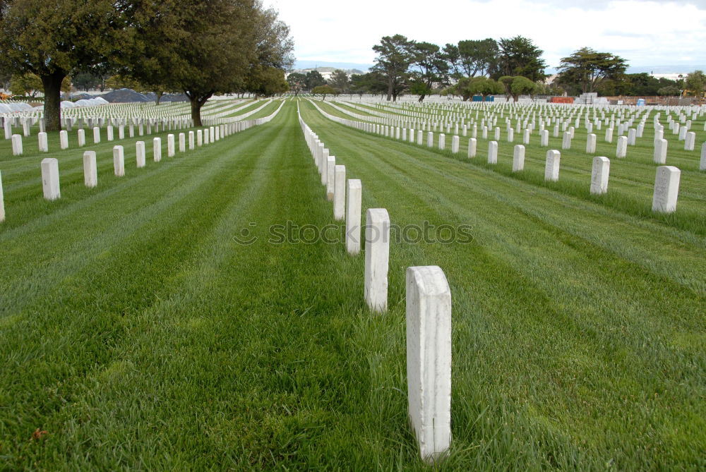 Similar – war graves France