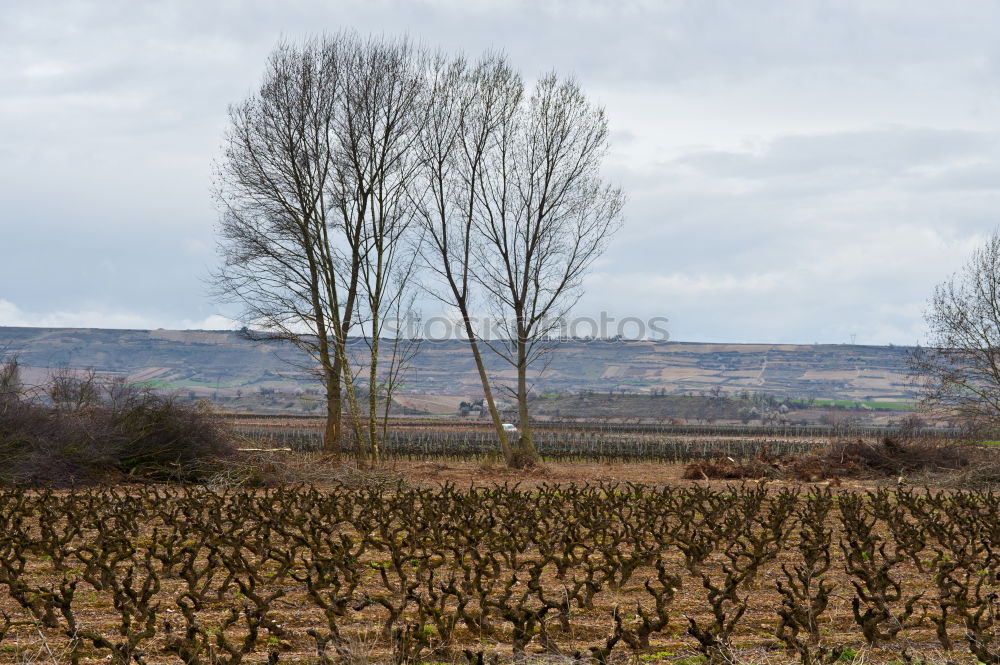 Similar – Image, Stock Photo Border walk 2014 Tourism