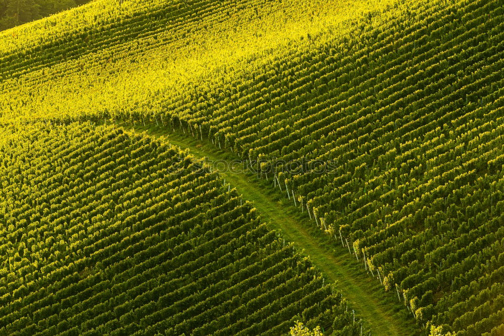 Similar – Wellen in der grünen Landschaft