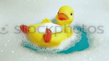 Similar – squeaky duck Bathtub Toys