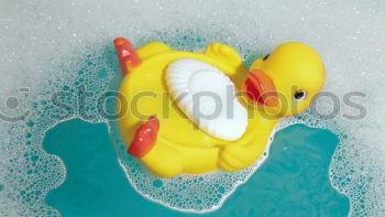 Similar – Image, Stock Photo Funny, witty, yellow billy goose with huge, big glued-on fake eyes, looks curious. Bright, poppy little rubber duck waiting for bath. Gummitier is looking forward to beach holidays, pool, summer holidays, bathing holidays, water splashing.