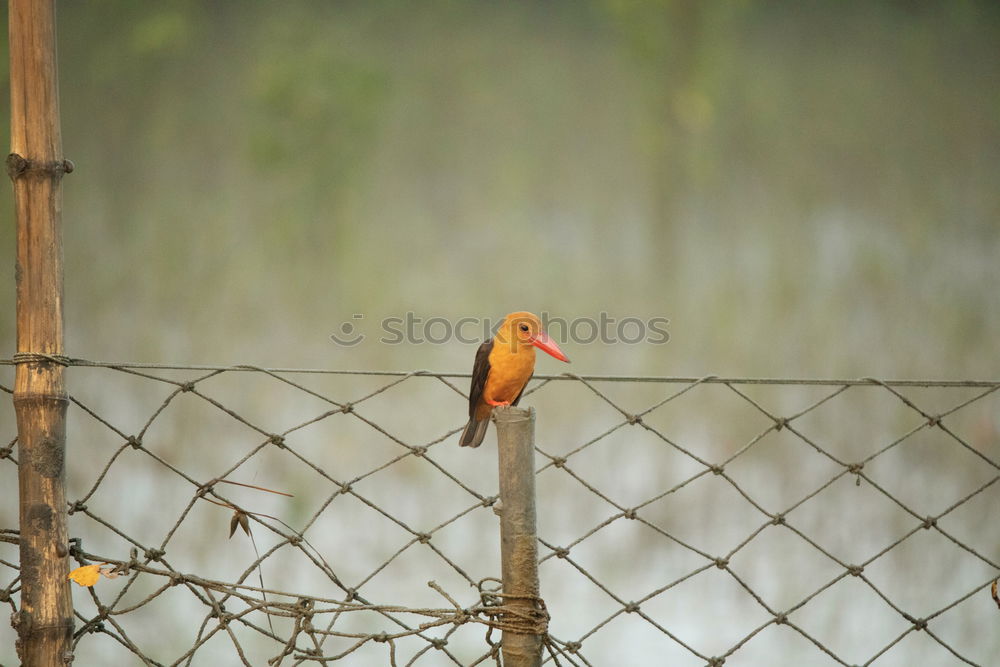 Similar – Image, Stock Photo temporise Trip Adventure