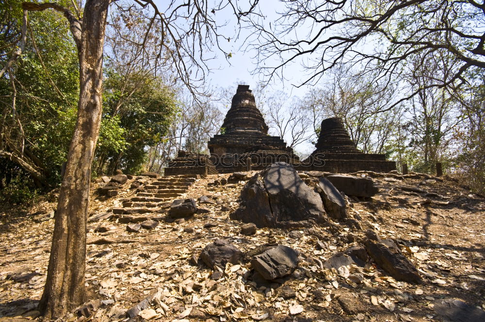 Similar – Tomb Raider Temple, Cambodia