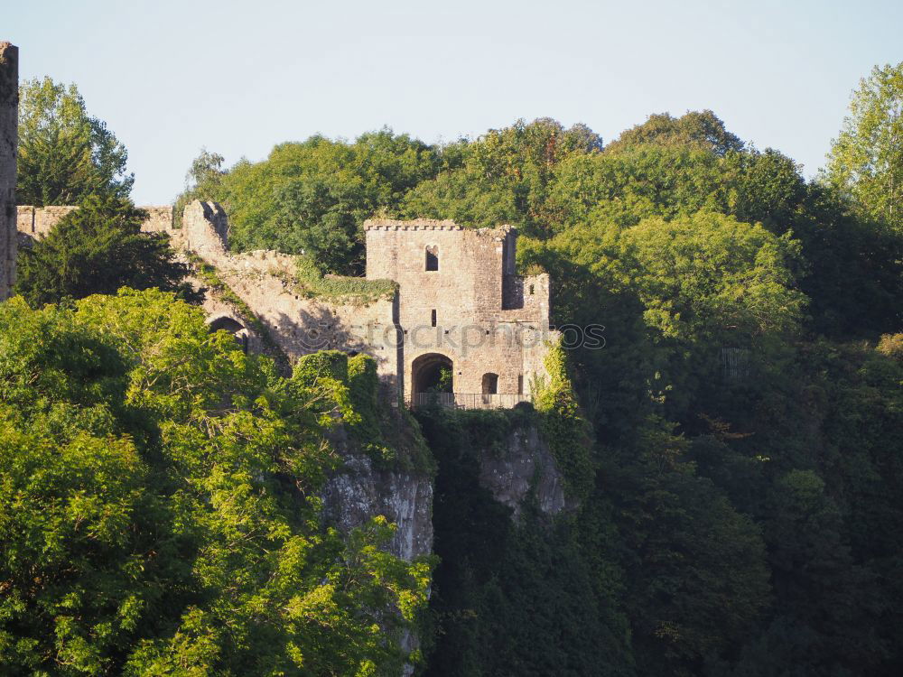 Similar – Foto Bild Auf der Höhe sein Natur