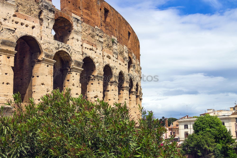 Similar – Image, Stock Photo Colosseum Environment