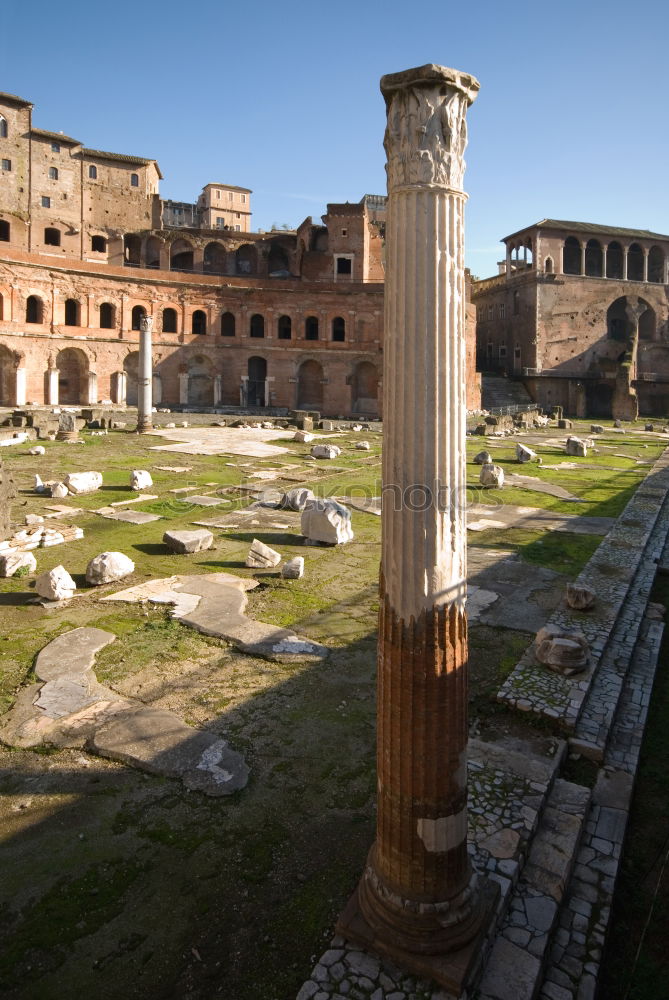 Similar – Image, Stock Photo Foro Romano (Rome, Italy)