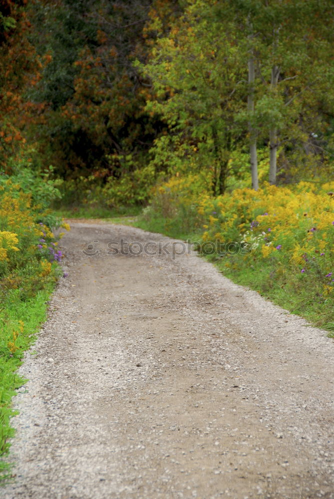 Similar – Image, Stock Photo exit Lifestyle Style