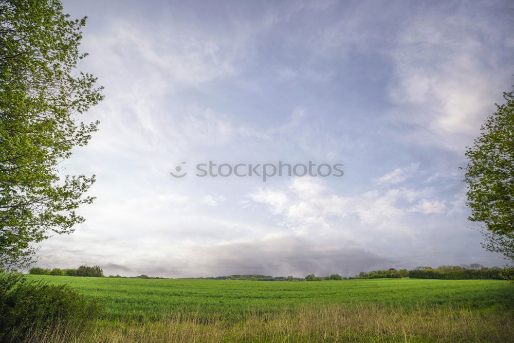 Similar – Agro Natur Himmel Wolken