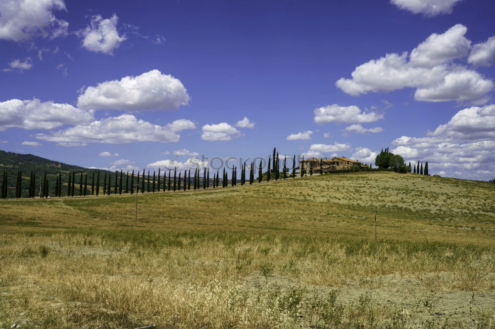 Similar – A country estate in Tuscany in spring