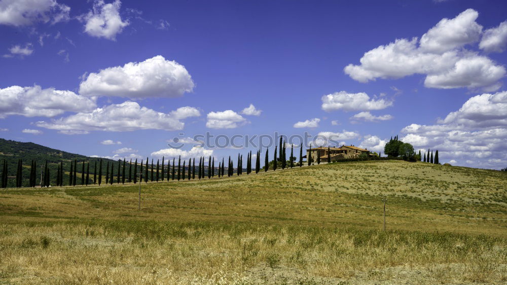 Similar – A country estate in Tuscany in spring