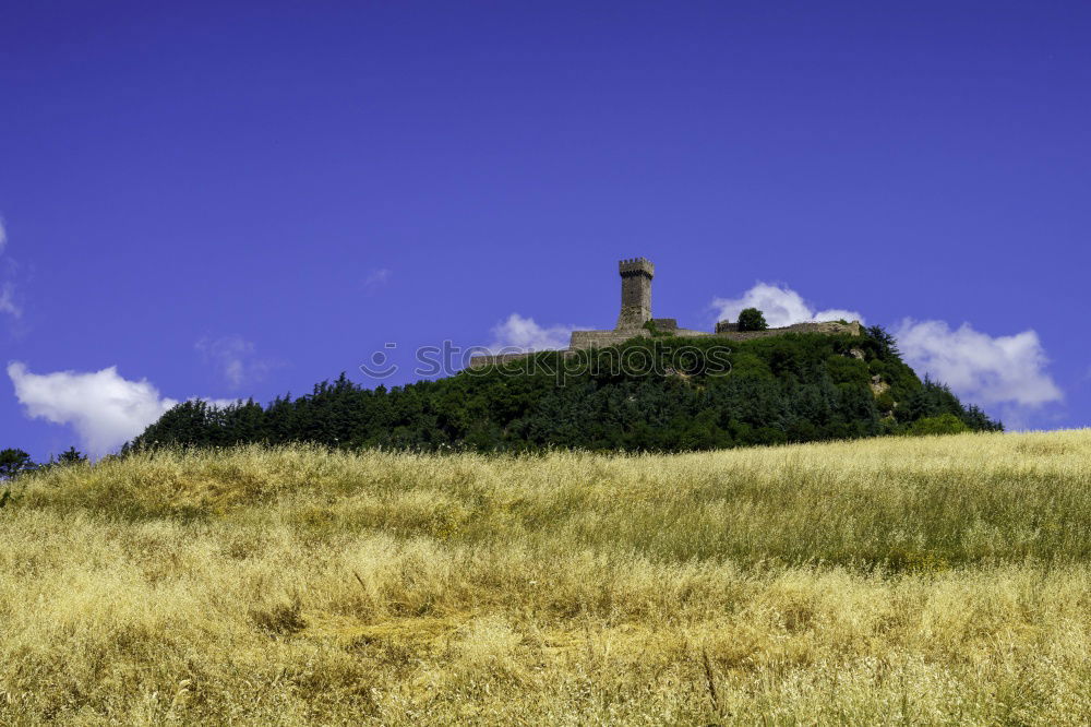 Similar – Image, Stock Photo Paleo Perithia 2/ Corfu