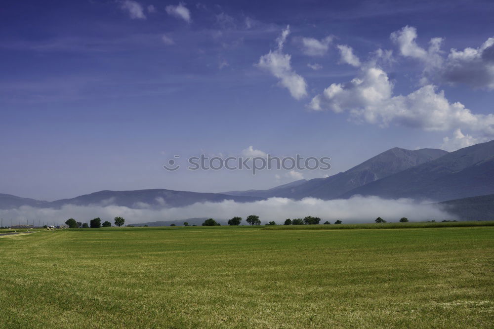 Similar – Image, Stock Photo Breathe you in my Dreams