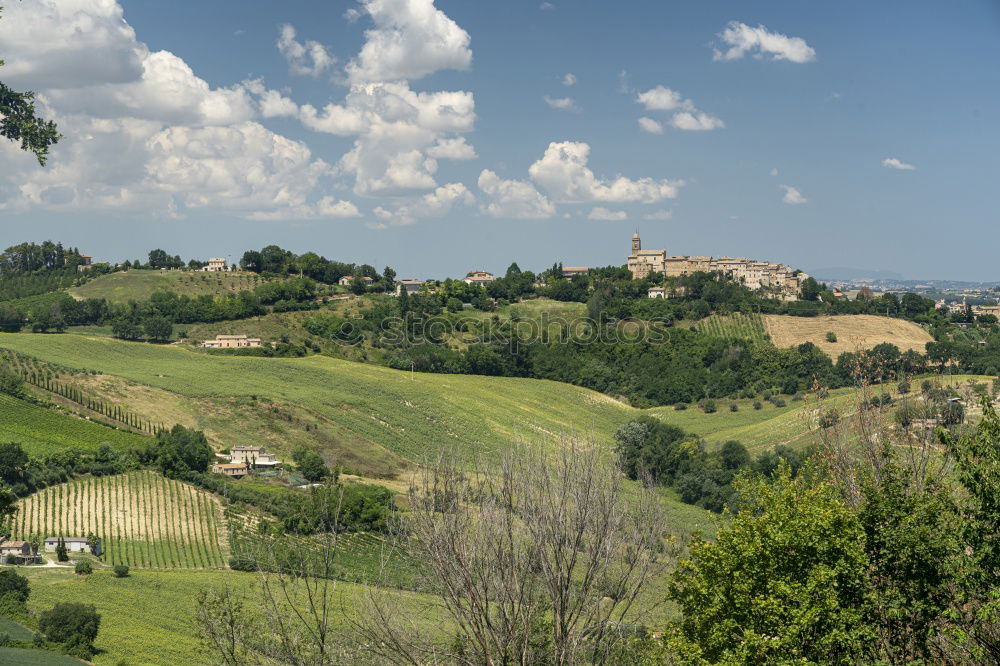 Similar – Church in wine Environment