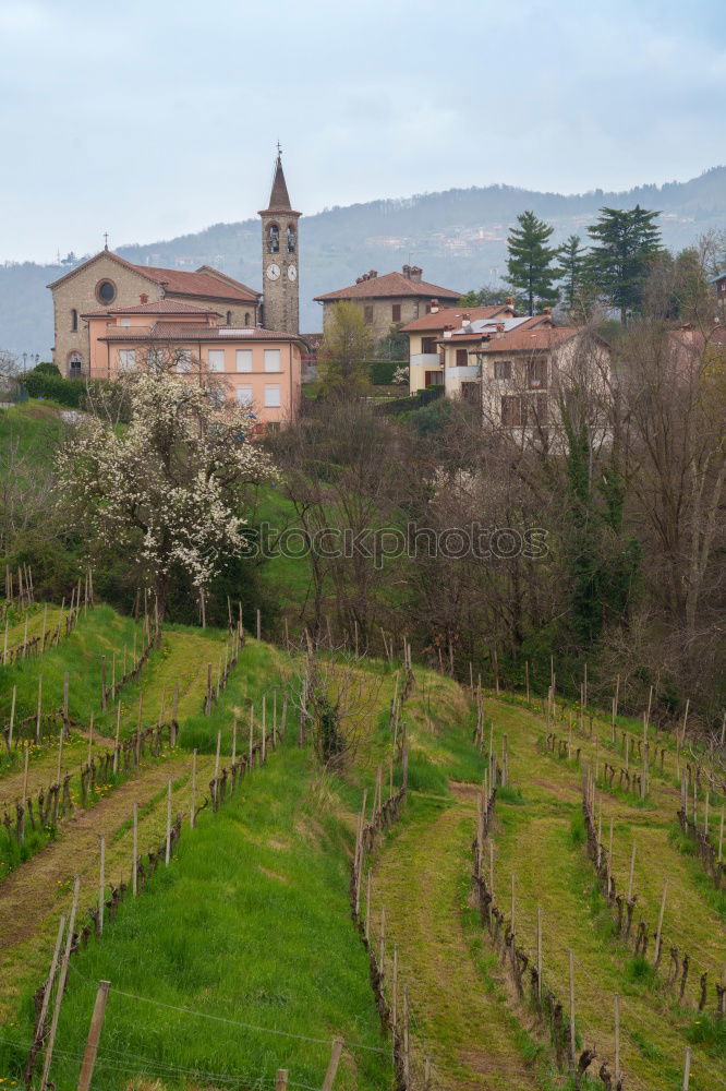 Similar – Image, Stock Photo Light-flooded plateau in northern Spain 2