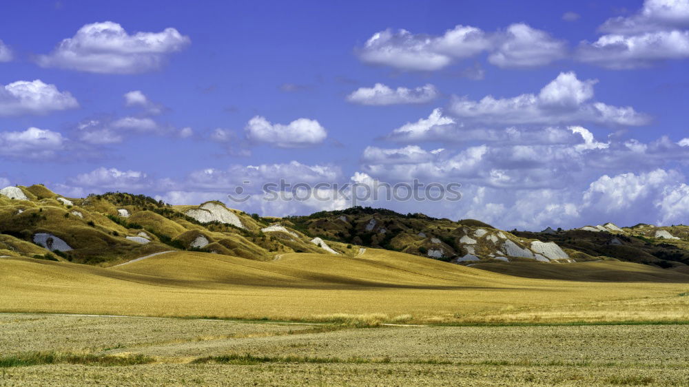 Similar – Image, Stock Photo Wonderful Mongolia Culture